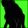 Lady
